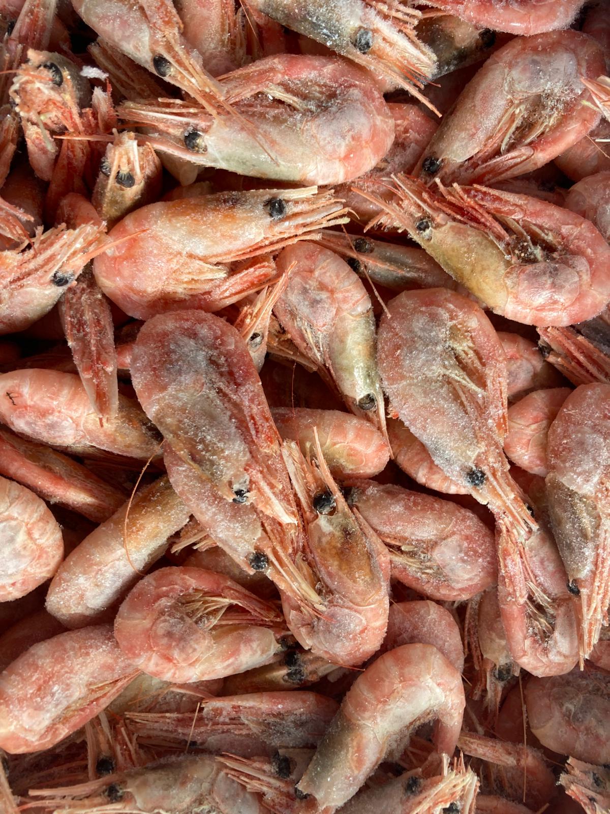 Cooked Shell On Prawns