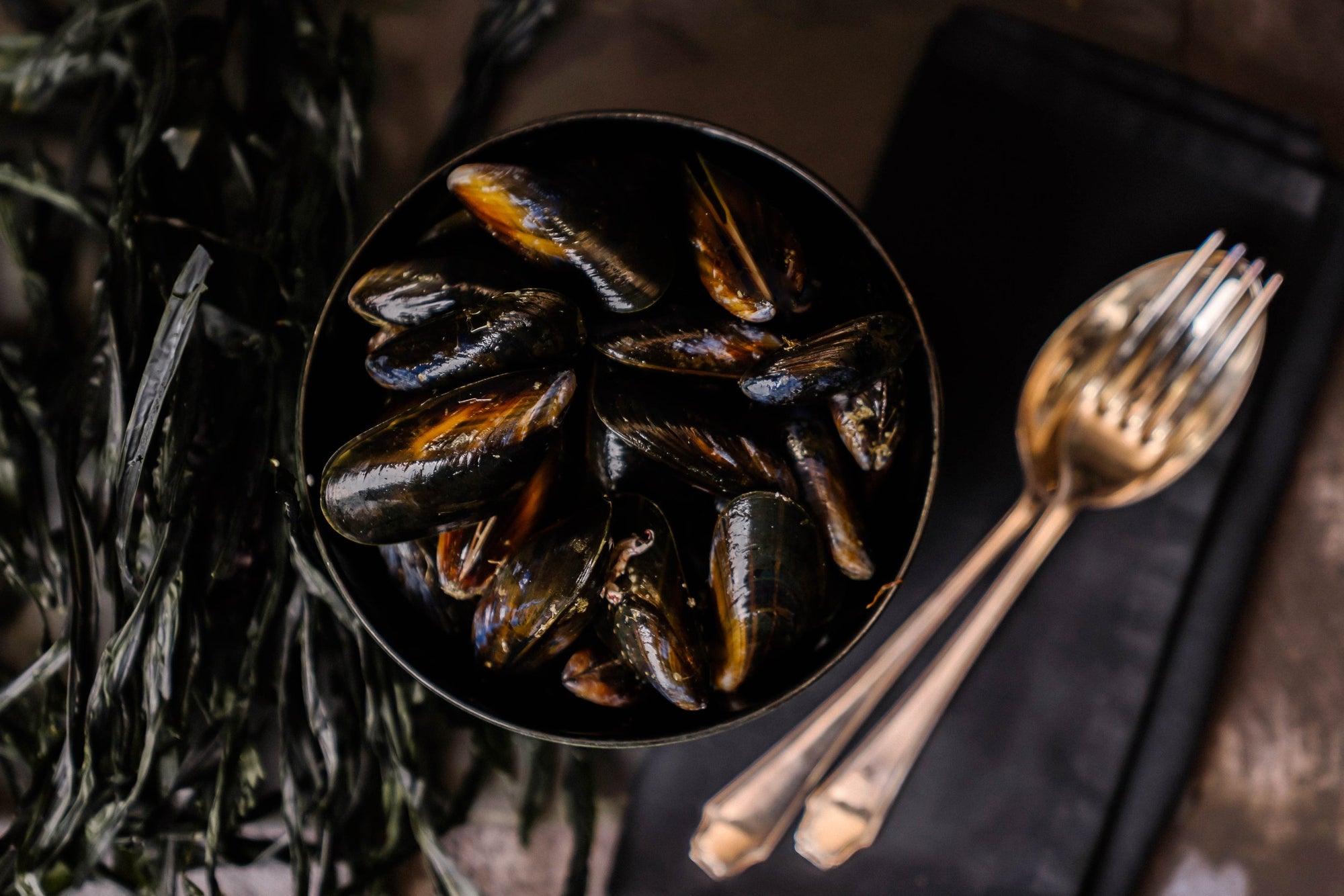 Fresh Pembrokeshire Mussels