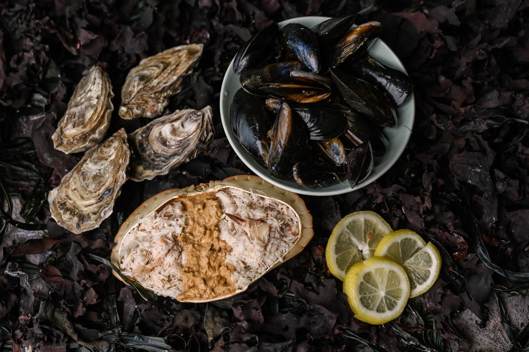 Taster Shellfish Box