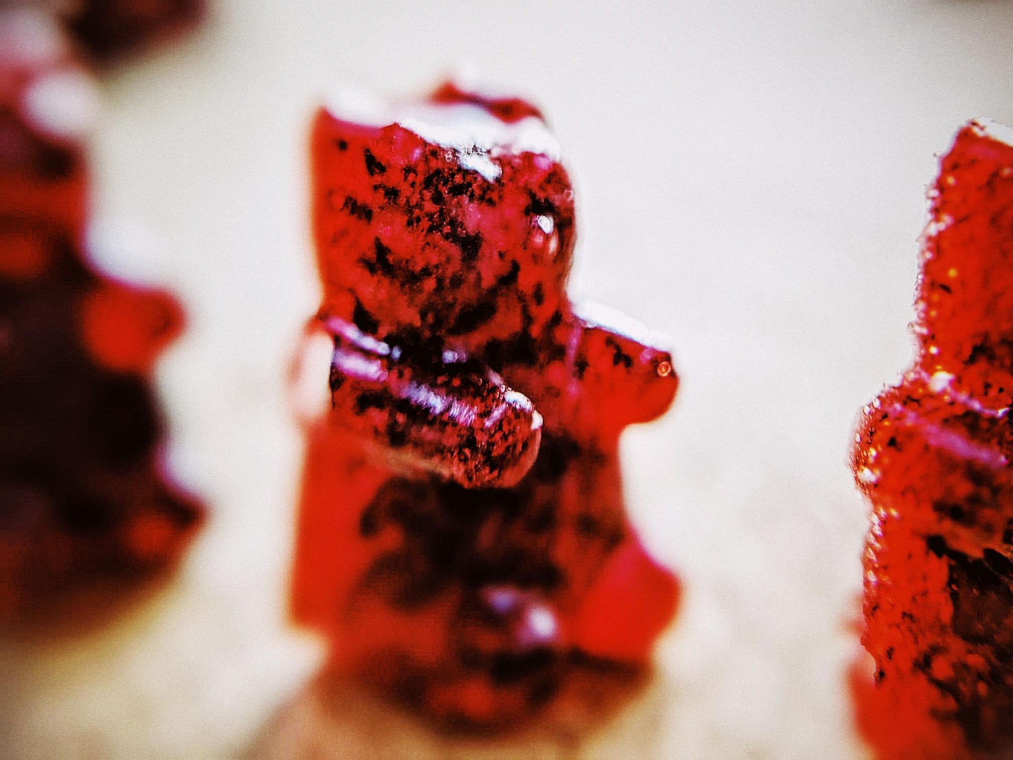 DAY 45 Gummy Bears !