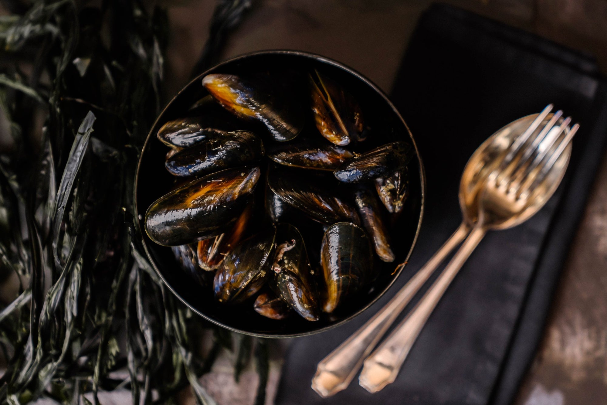 FRESH PEMBROKESHIRE MUSSELS