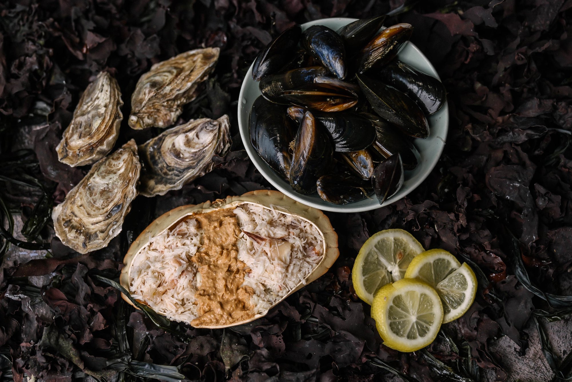 TASTER SHELLFISH BOX